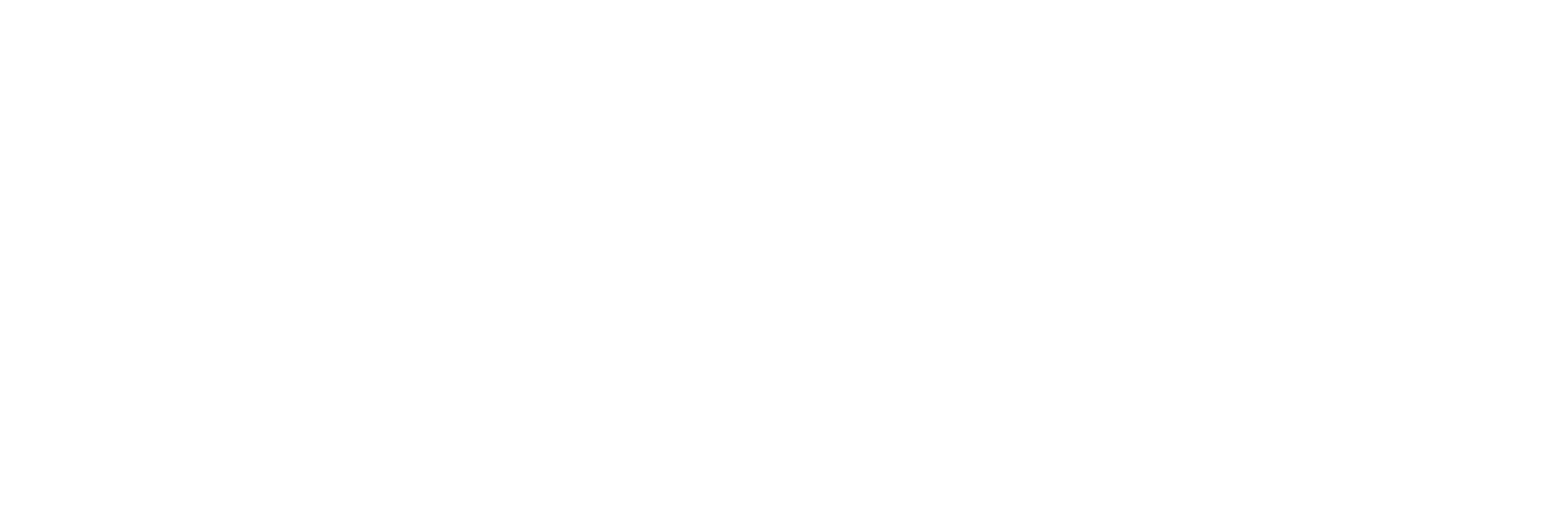 Nueva Atacama logo